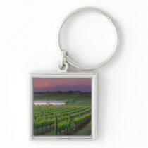 Sunrise color in the distant fog behind key chains