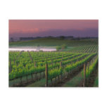 Sunrise color in the distant fog behind postcards