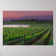 Sunrise color in the distant fog behind poster