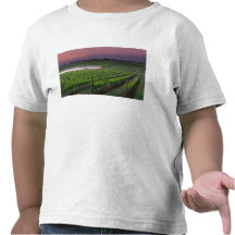 Sunrise color in the distant fog behind tee shirts