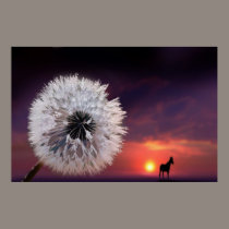 Sunrise Dew posters