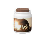 Sunrise Horse Jars Candy Jars
