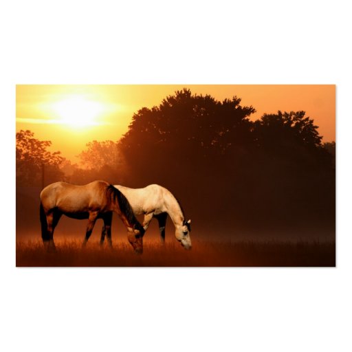 Sunrise horses business card