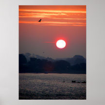 Sunrise in Guernsey Posters