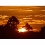 Sunrise In Louisiana