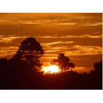 Sunrise In Louisiana photo sculptures by lifesphere Sunrise In Louisiana photo sculptures