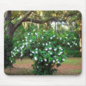 Sunrise In The Gardenia Of Eden Mousepad