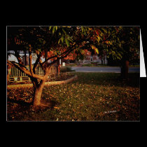 Sunrise in the Park cards