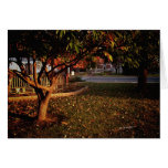 Sunrise in the Park Greeting Cards
