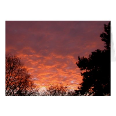Sunrise - January 2003 Greeting Cards by viviculture