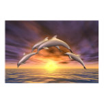 Sunrise Jump