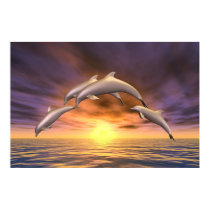 Sunrise Jump posters