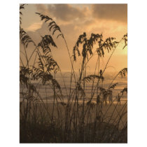 Sunrise Personalized Letterhead