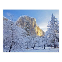 Sunrise light hits El Capitan through snowy Postcards