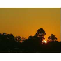 Sunrise Louisiana Cut Outs