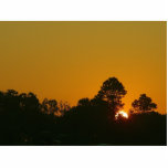 Sunrise Louisiana