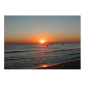 sunrise NSB print