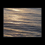 Sunrise on Ocean Waters Postcard