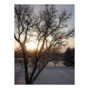 Sunrise on snow posters by ahawks Sunrise on snow posters