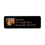 Sunrise on the Riverside Walk Return Address Label