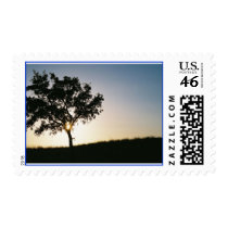 sunrise or sunset postage by thenewmuse sunrise or sunset postage