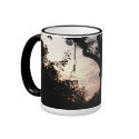 Sunrise Over Central Florida mugs