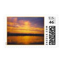 Sunrise over the bayou postage