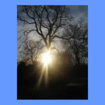 Sunrise Over Winckley Park Poster posters