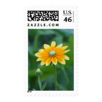 Sunrise postage by smudgeart Sunrise postage