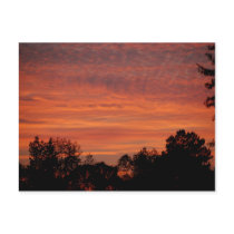 Sunrise Postcard by palmateera Sunrise Postcard