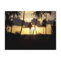 Sunrise Postcard