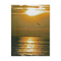 Sunrise postcards