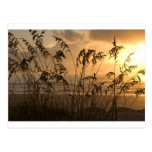 Sunrise Postcard