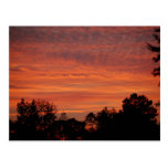 Sunrise Postcard