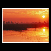 Sunrise postcards
