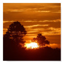 sunrise posters by undefined sunrise posters