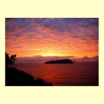 Sunrise Posters posters
