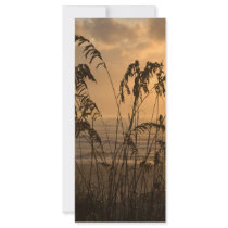 Sunrise Rack Card Design