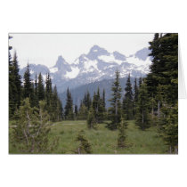 Sunrise Rainier cards