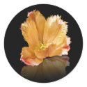 Sunrise Rhapsody Sticker