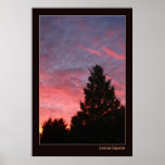 Sunrise Sequoia Posters