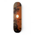 sunrise skateboards