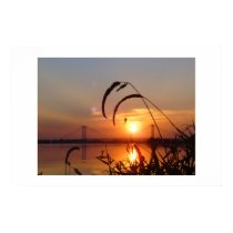 SunRise Spider Mistery posters