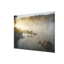 Sunrise through fog in Anderson Bay, Rainy Canvas Prints