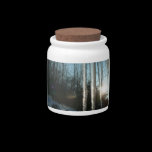 Sunrise Through Icicles Candy Jar