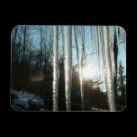 Sunrise Through Icicles Premium Magnet