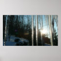 Sunrise Through Icicles Print