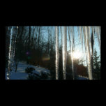 Sunrise Through Icicles Print