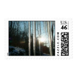 Sunrise Through Icicles Stamp