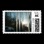 Sunrise Through Icicles Stamp